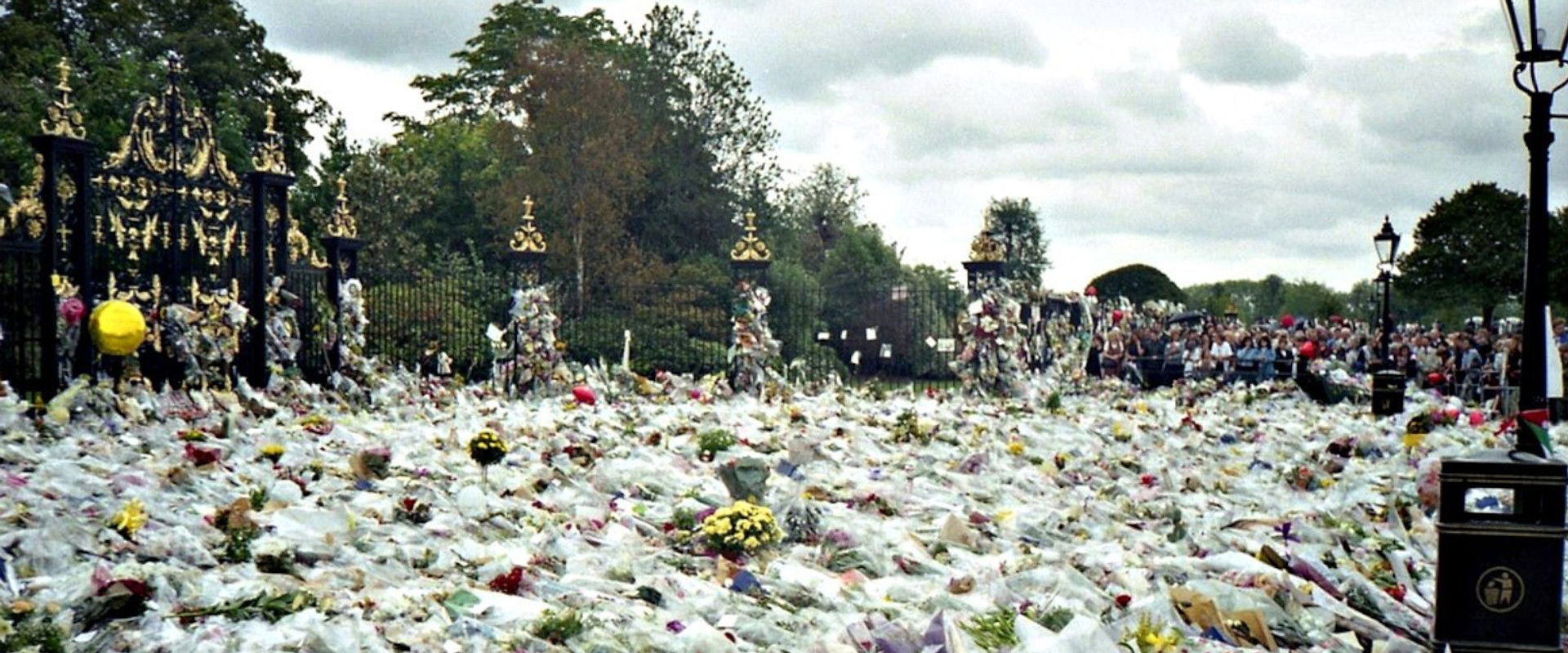 The Last Days of Princess Diana backdrop