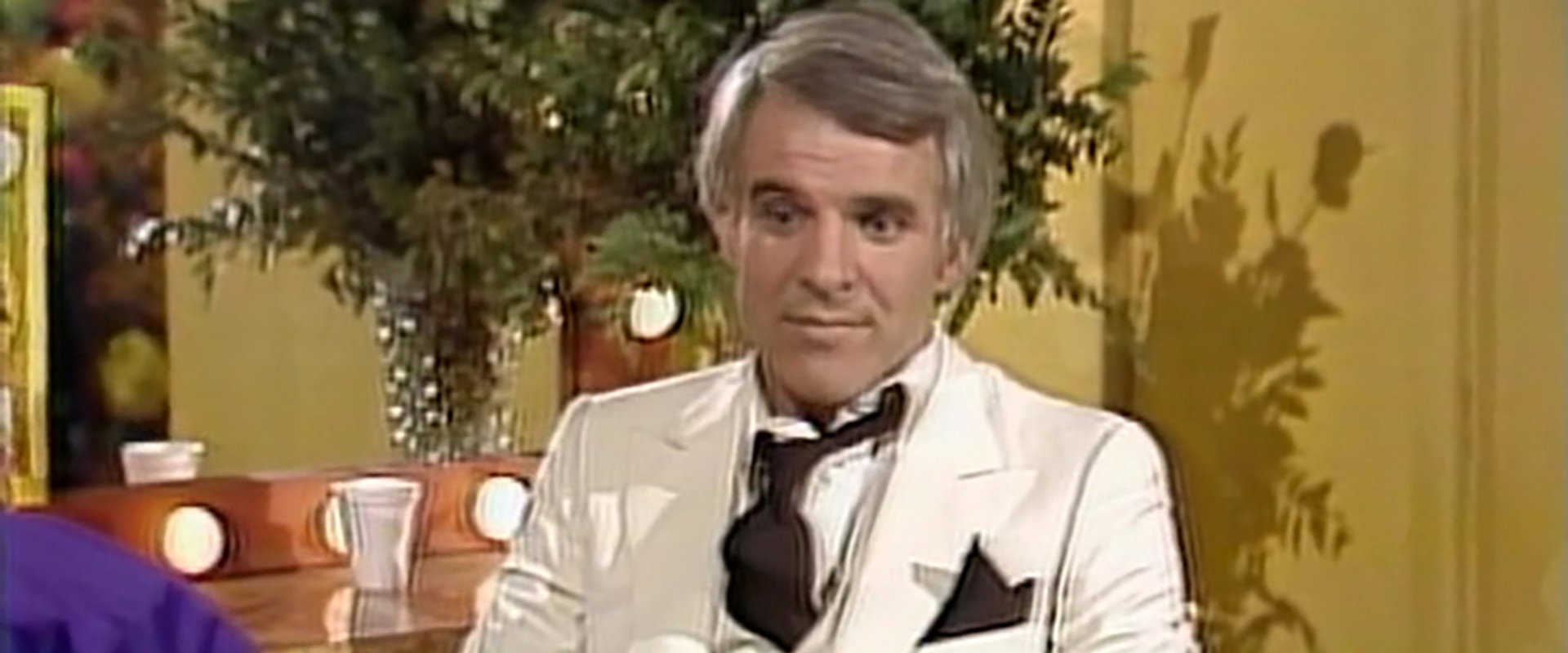 Steve Martin: A Wild and Crazy Guy backdrop