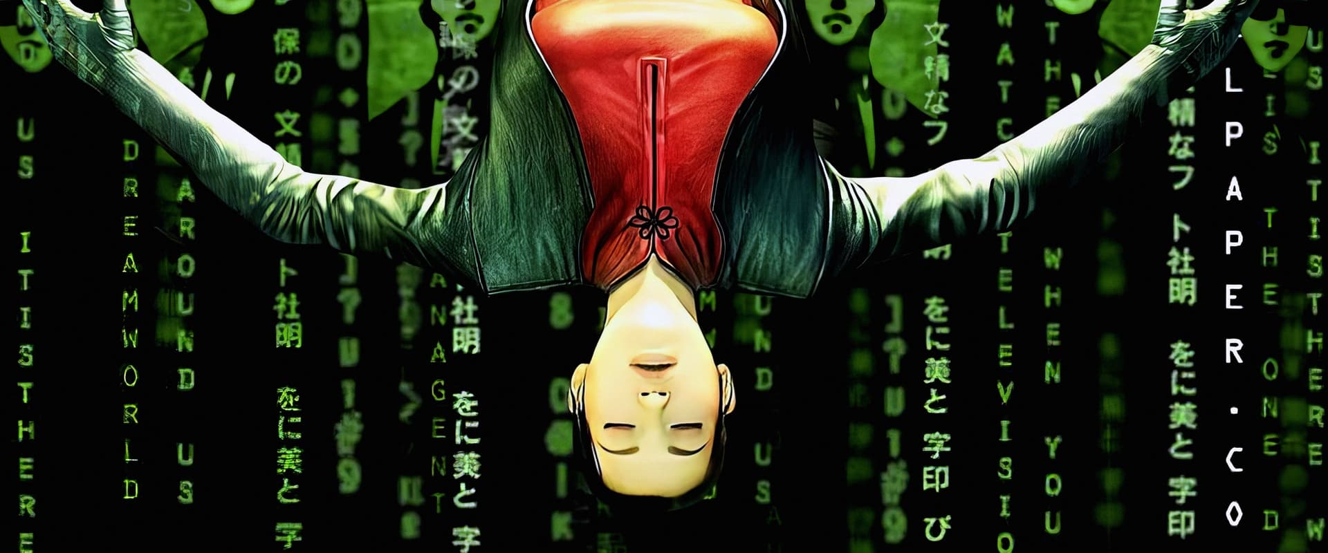 The Animatrix backdrop