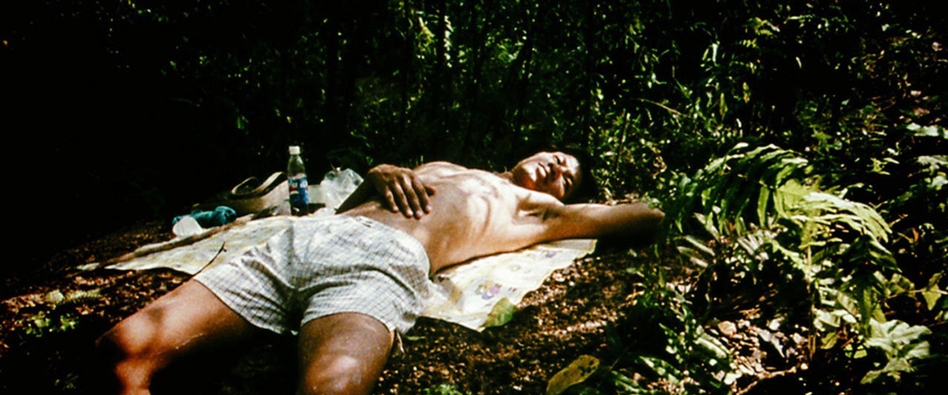 Blissfully Yours backdrop