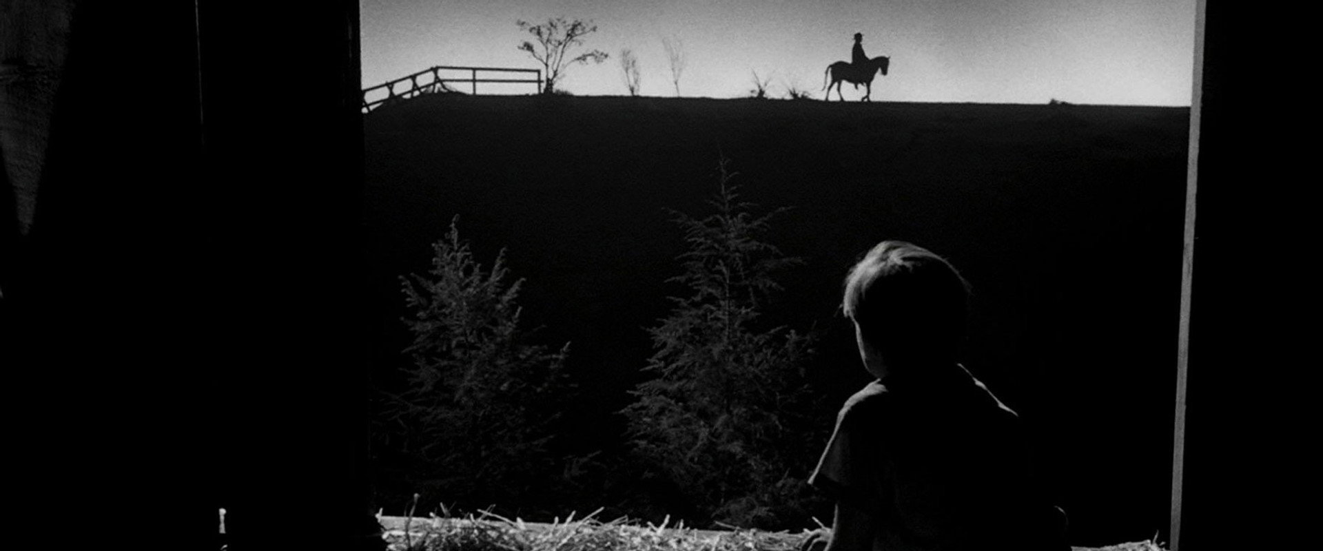 The Night of the Hunter backdrop