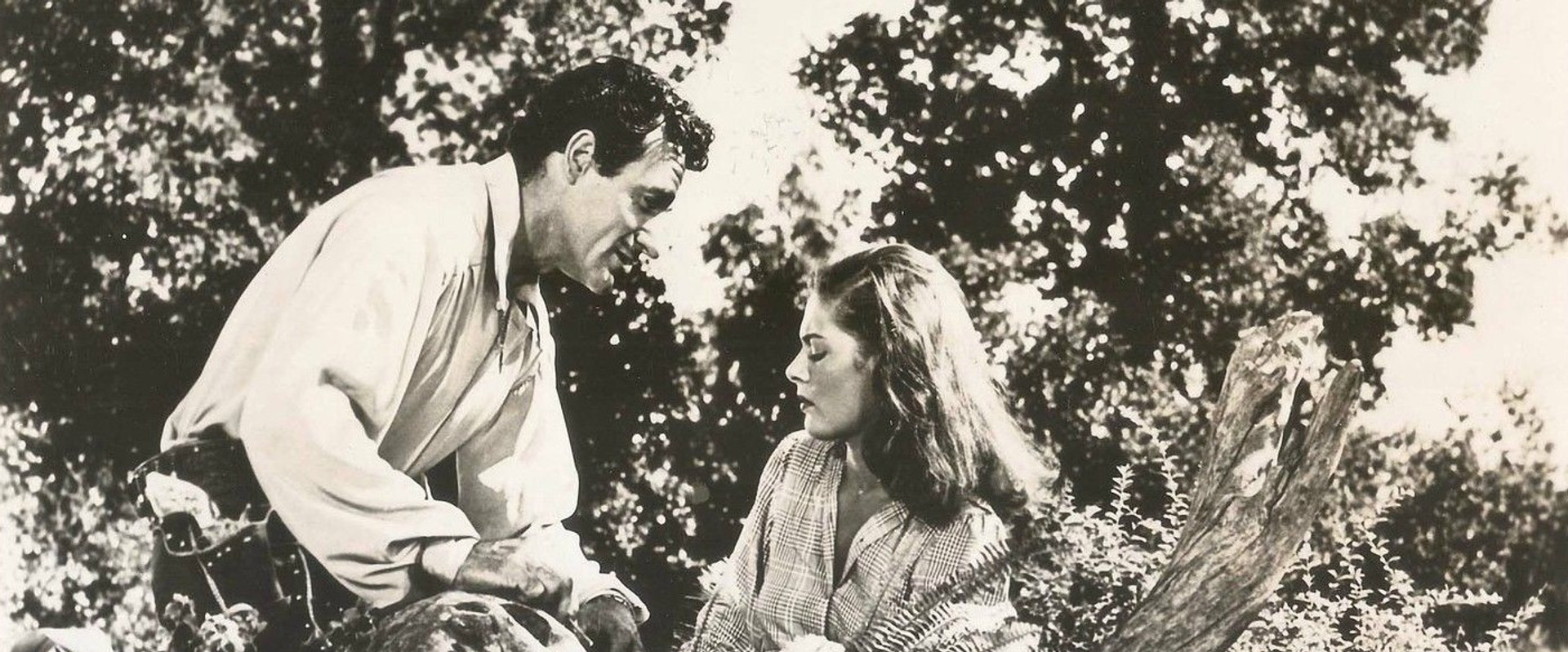 Beauty and the Bandit backdrop