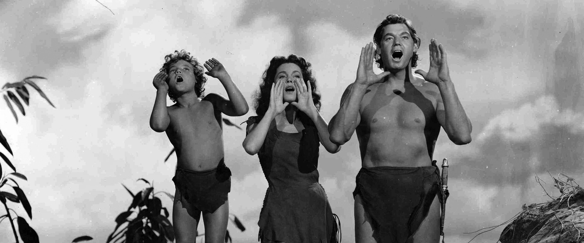 Tarzan's Secret Treasure backdrop