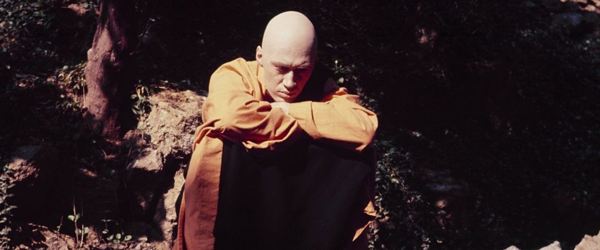 Kung Fu: The Way of the Tiger, the Sign of the Dragon backdrop