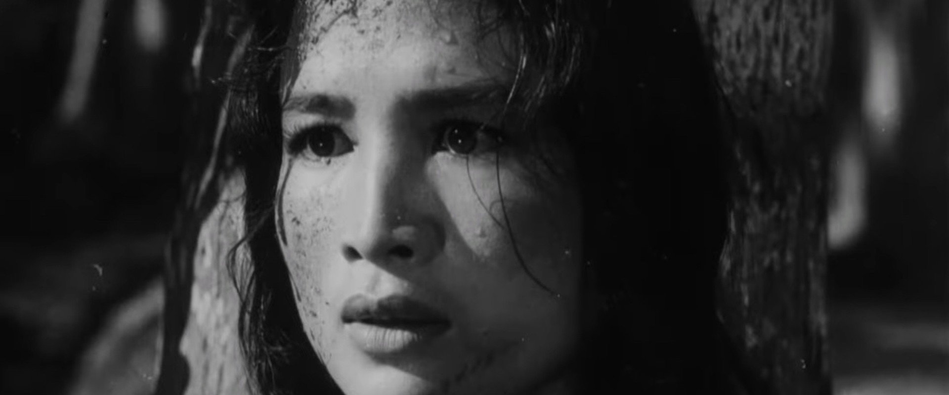 17th Parallel, Nights and Days backdrop