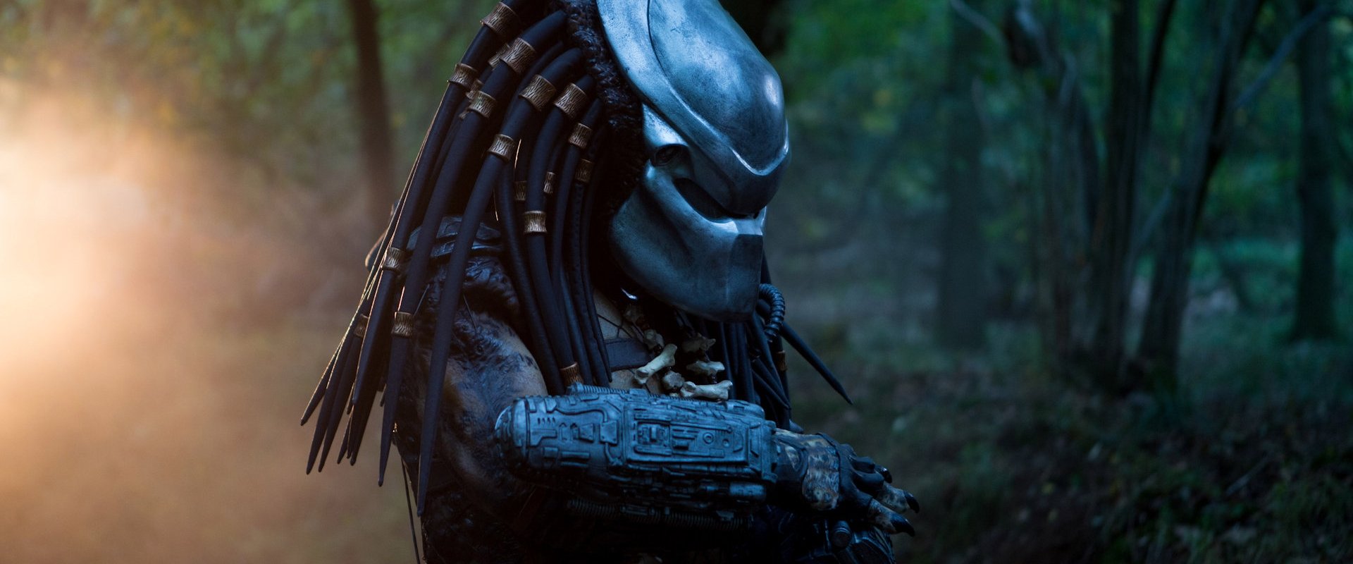 Predator: Dark Ages backdrop