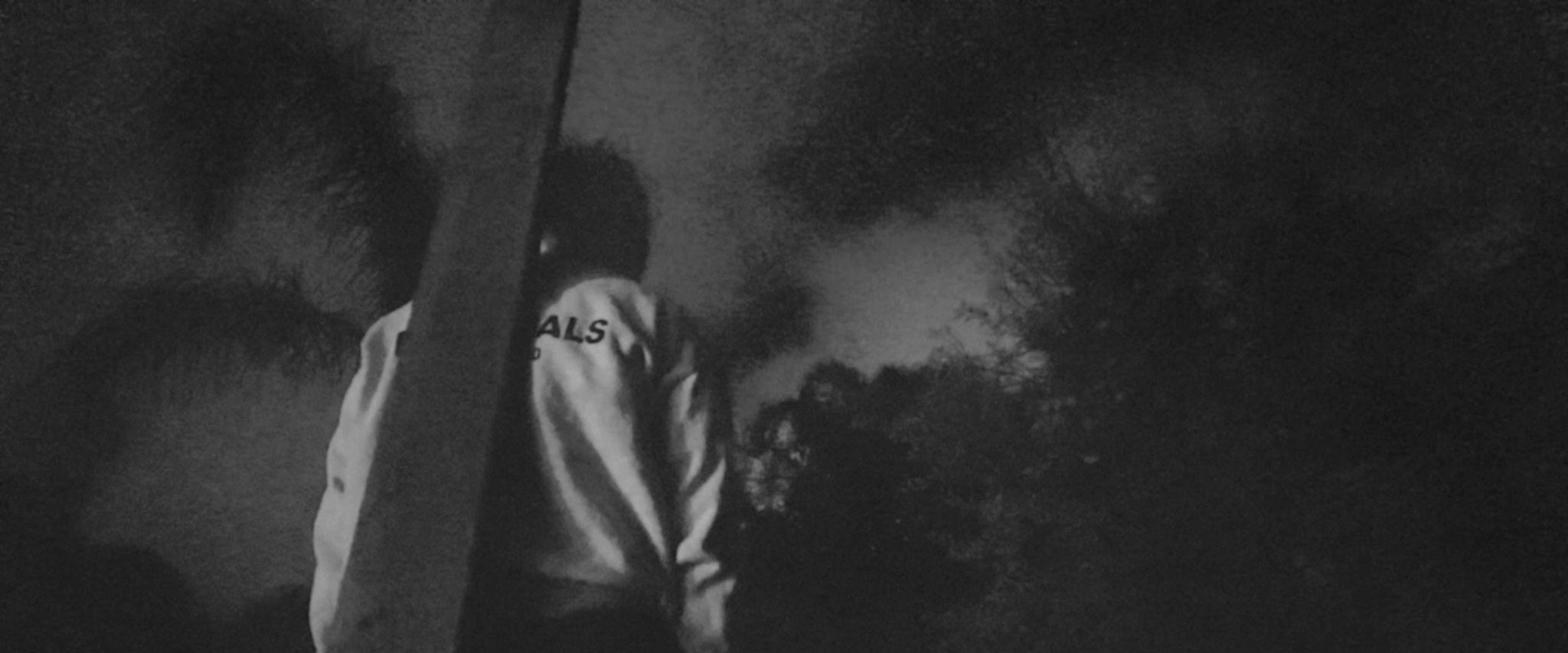 To See In The Dark backdrop