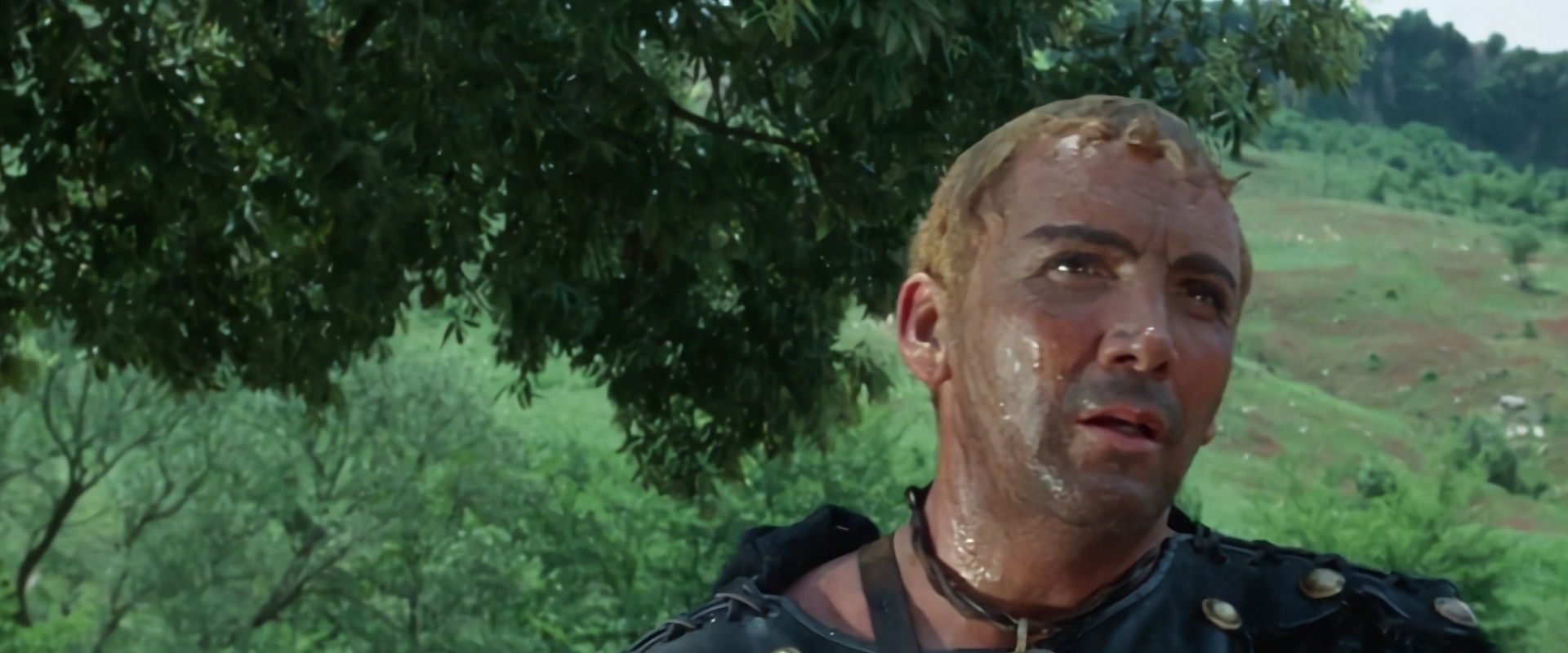 Knives of the Avenger backdrop