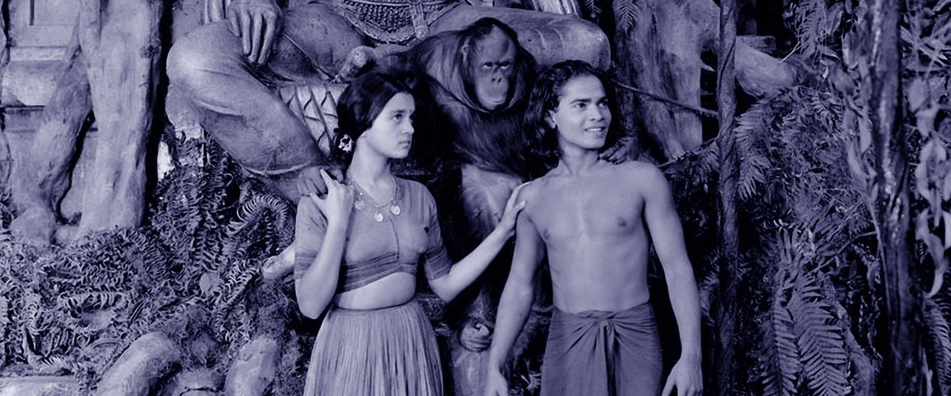 Jungle Book backdrop