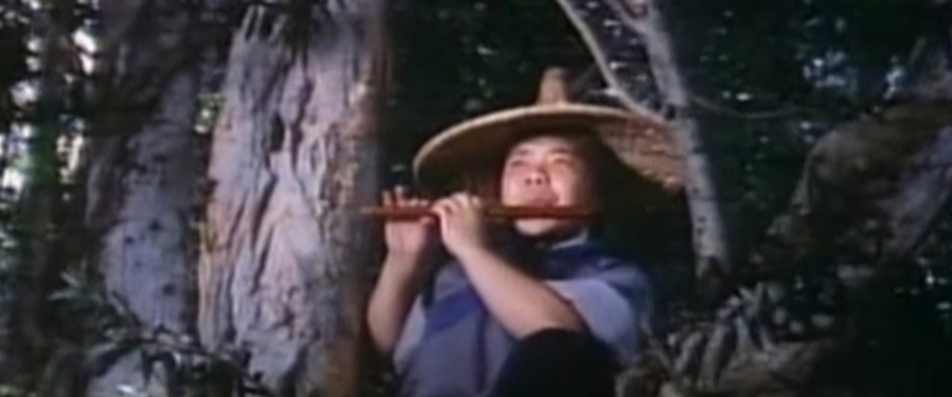 The Last Battle of Yang Chao backdrop