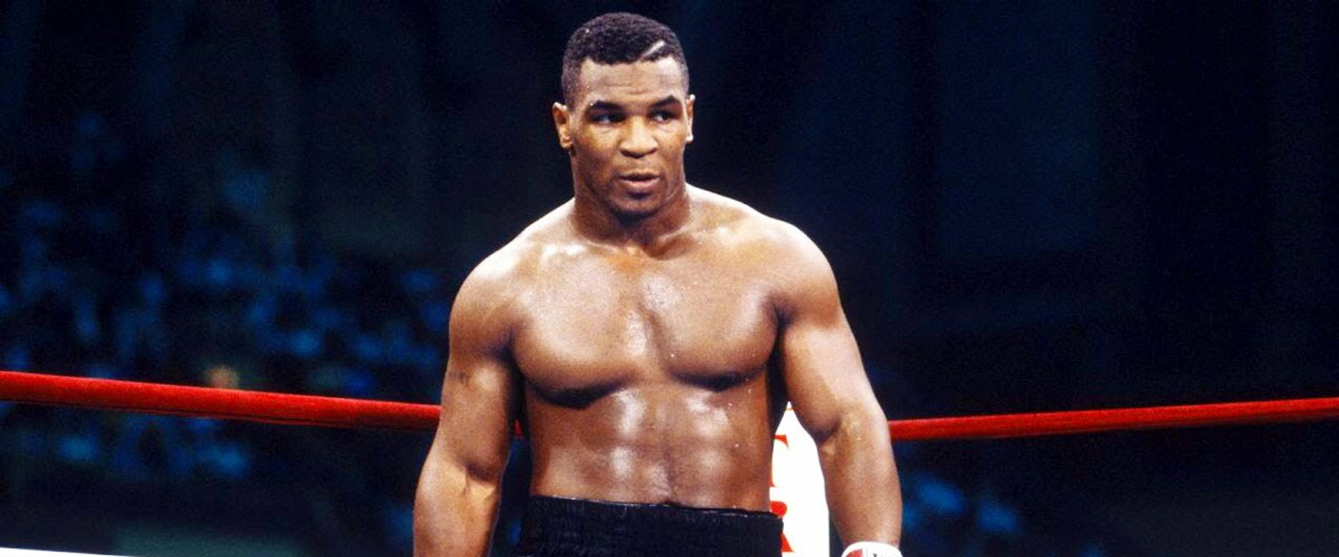 Fallen Champ: The Untold Story of Mike Tyson backdrop