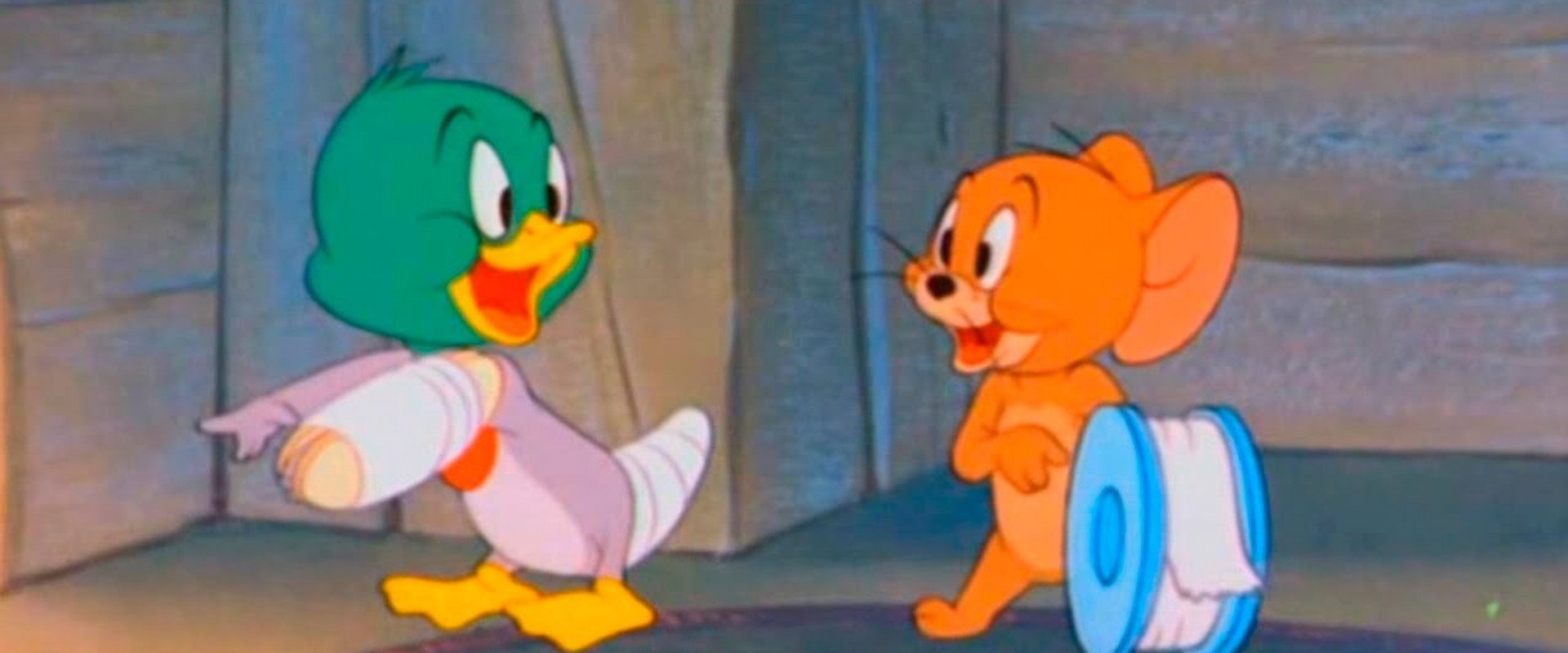 The Duck Doctor backdrop