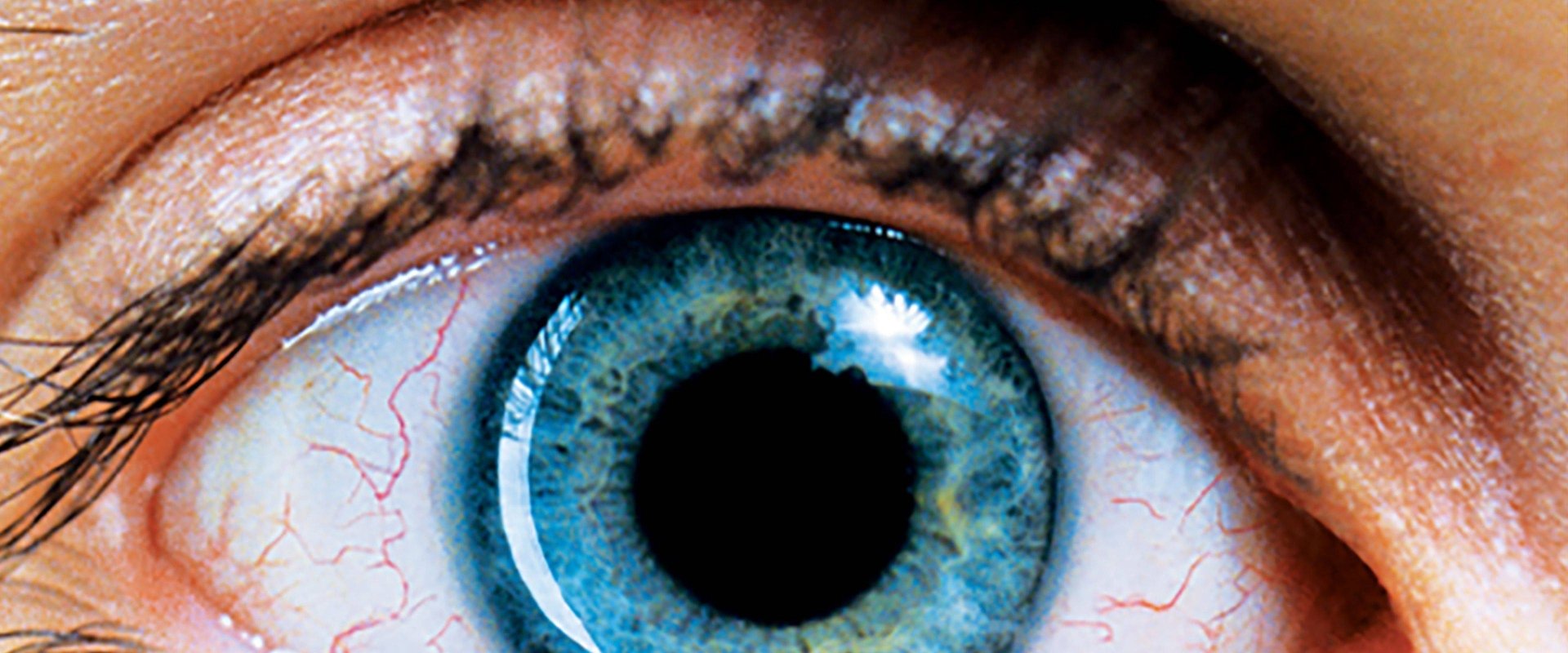 Requiem for a Dream backdrop