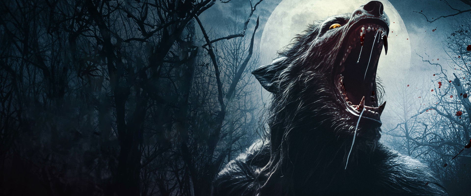 Wolf Hollow backdrop