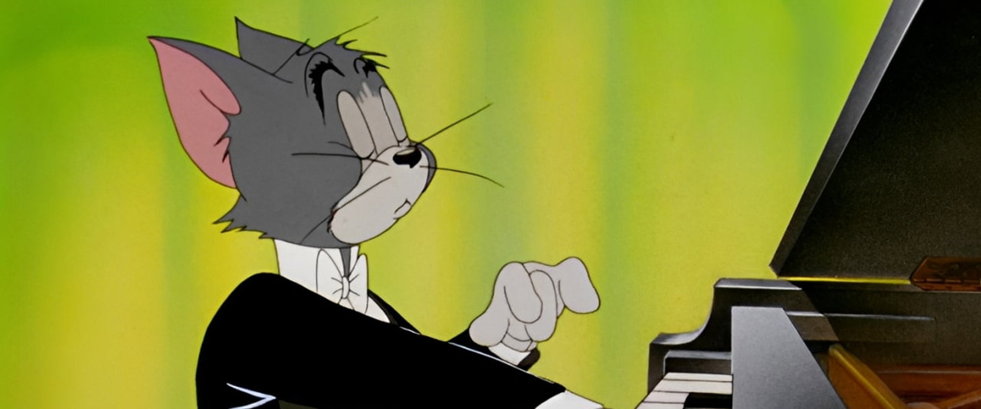 The Cat Concerto backdrop