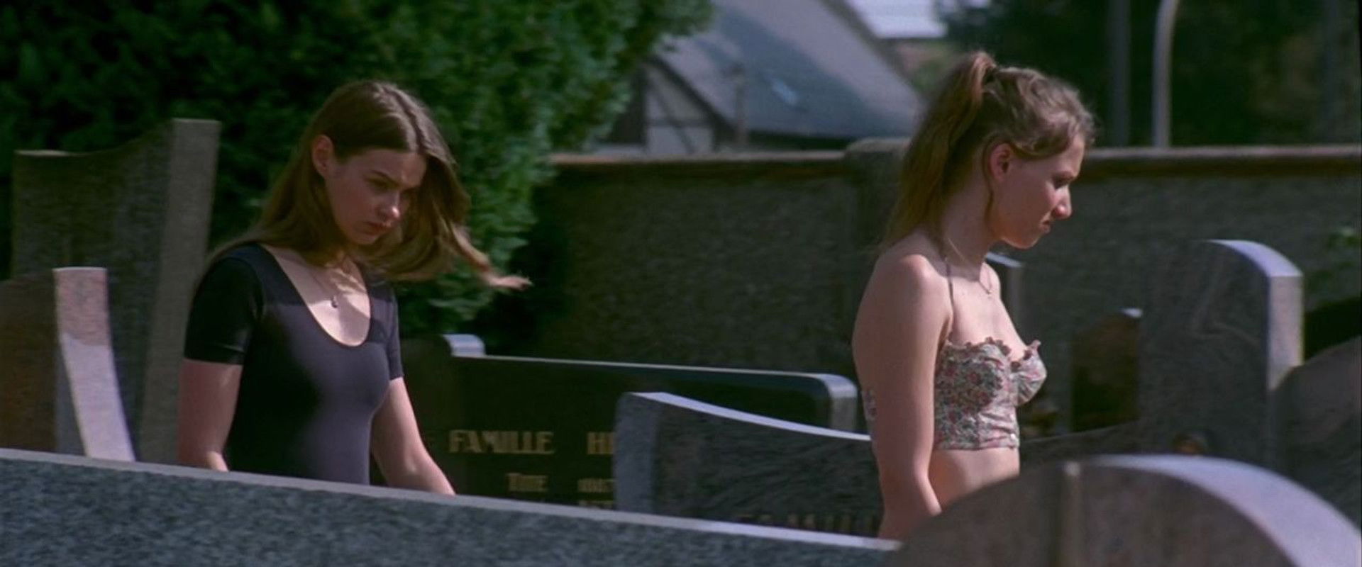 Mercuriales backdrop