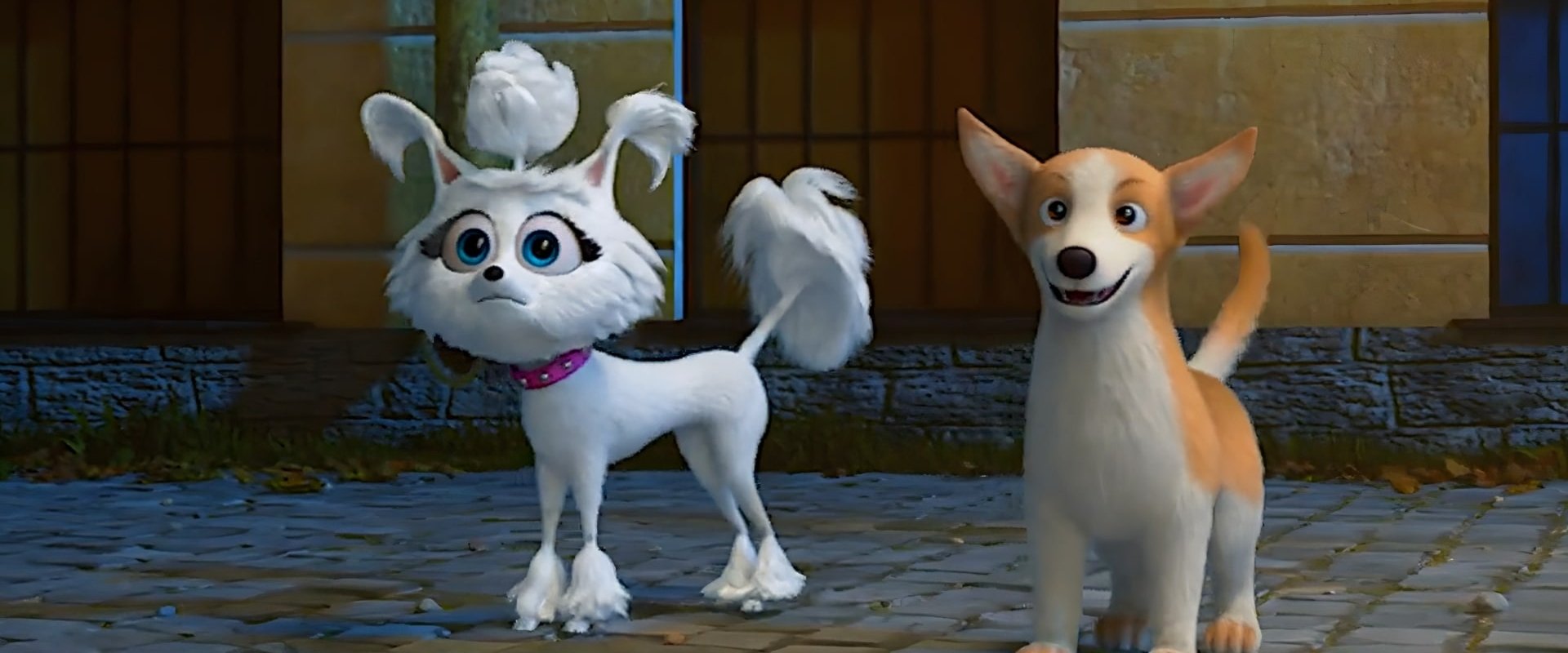 Dogs at the Opera backdrop