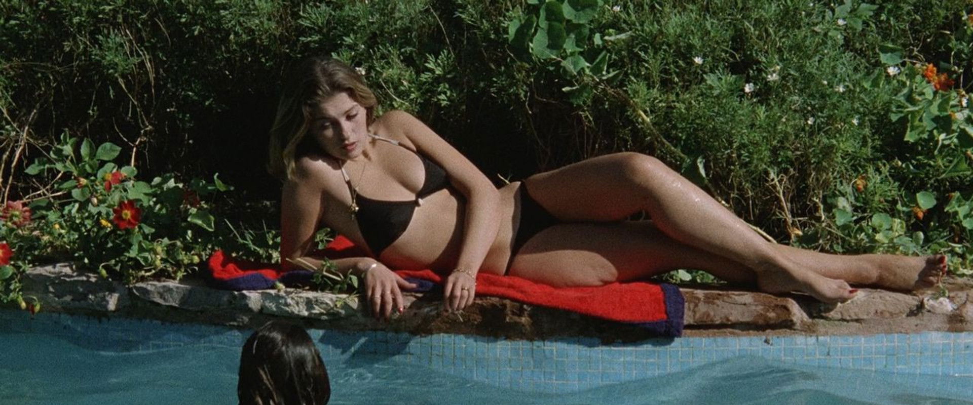 Seagulls Fly Low backdrop