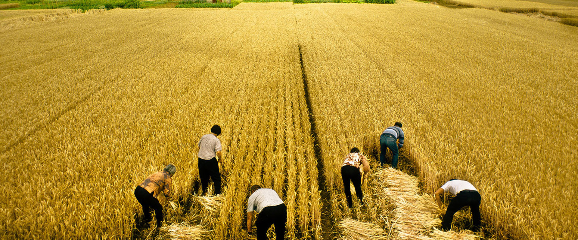 Swimming Out Till the Sea Turns Blue backdrop