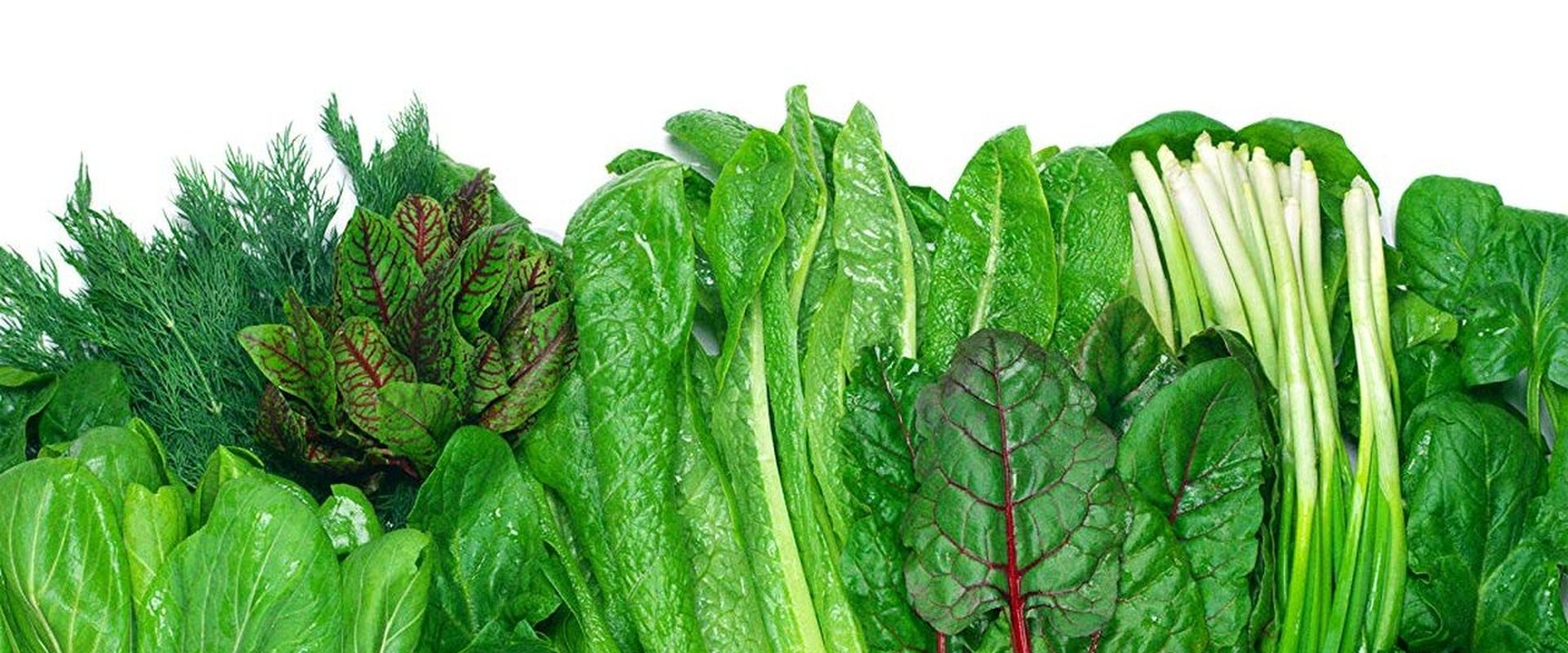 Foods That Cure Disease backdrop