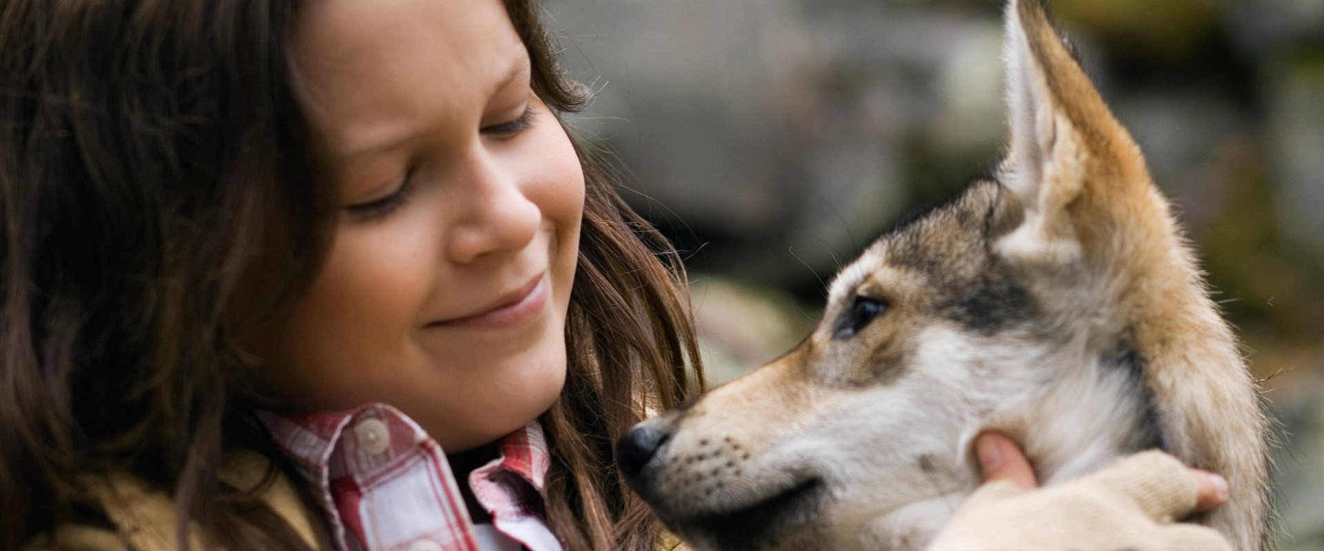 Mystery of the Wolf backdrop