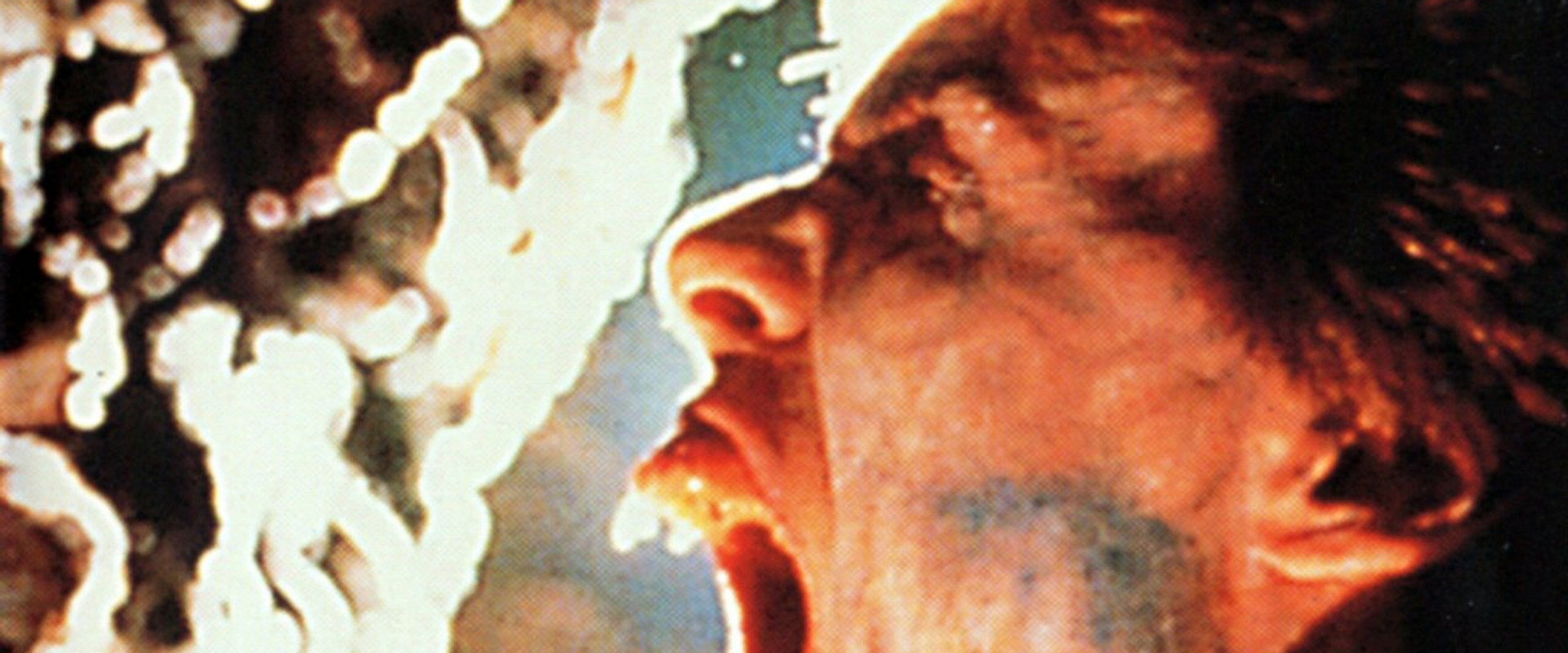 The Laughing Dead backdrop