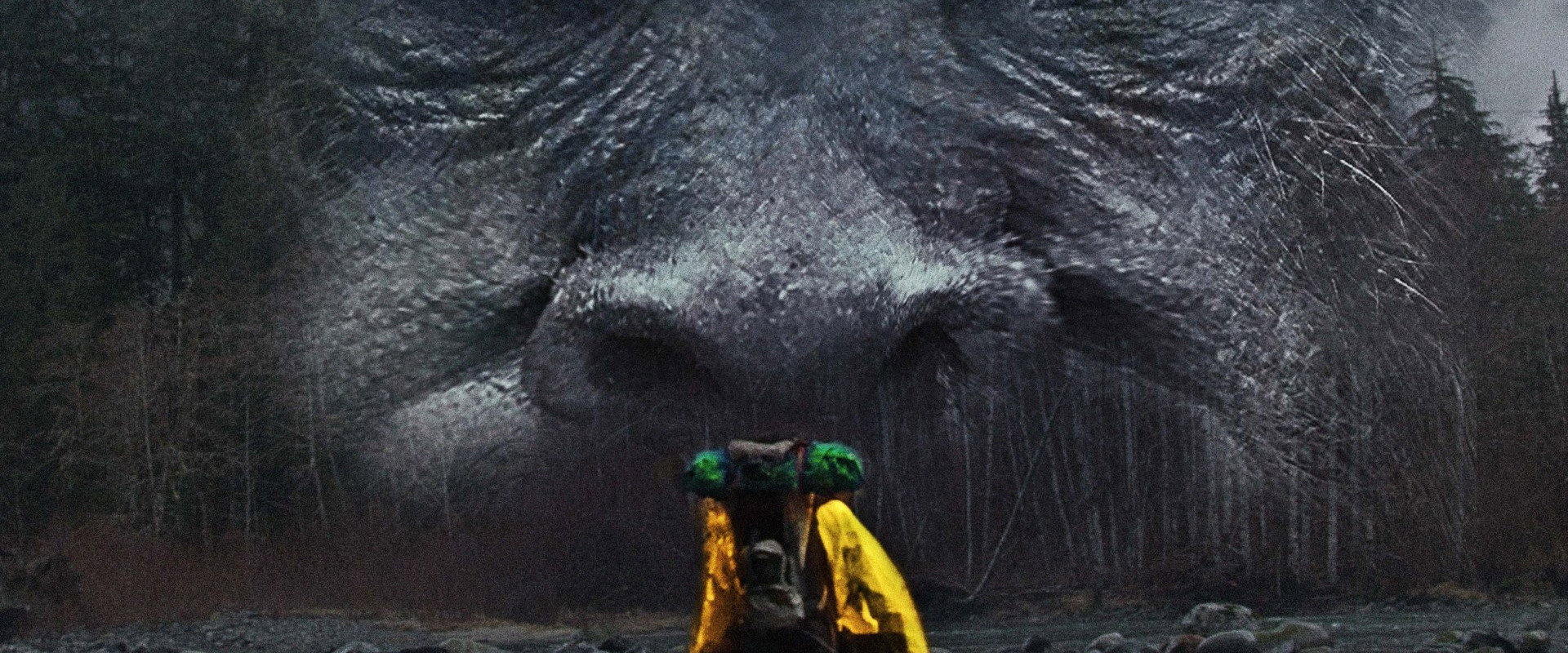 Hunting Bigfoot backdrop