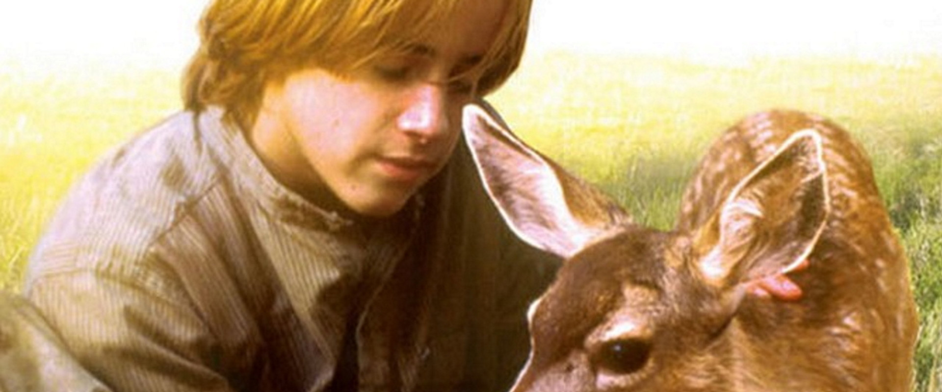 The Yearling backdrop