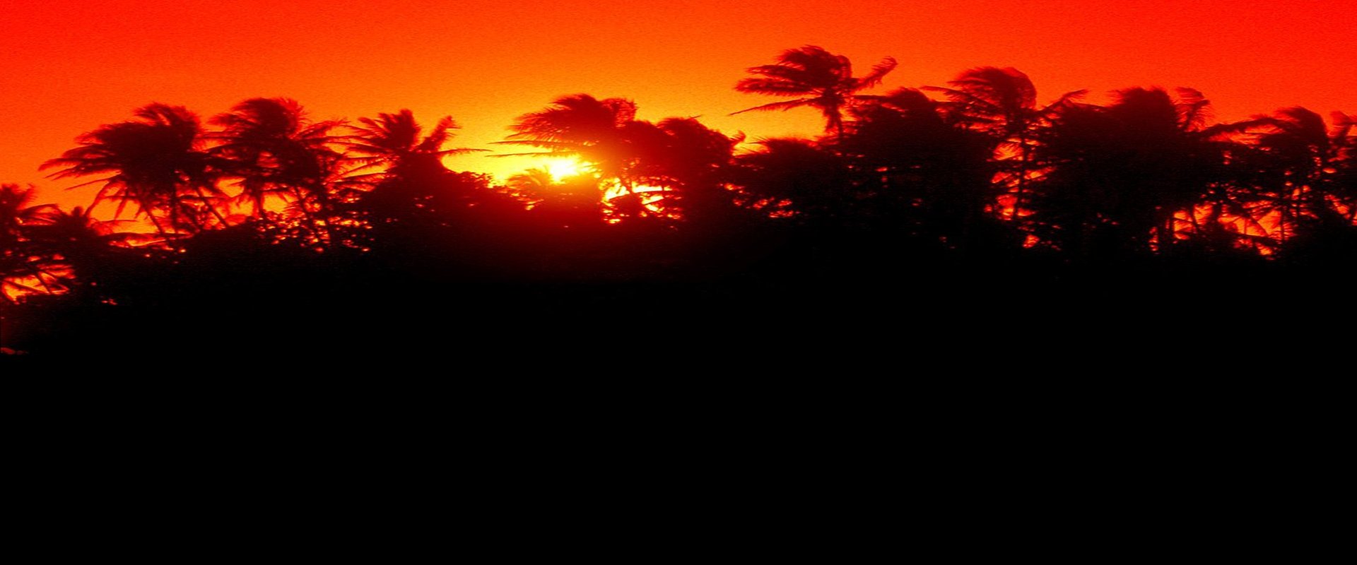 The Making of 'Jurassic Park'