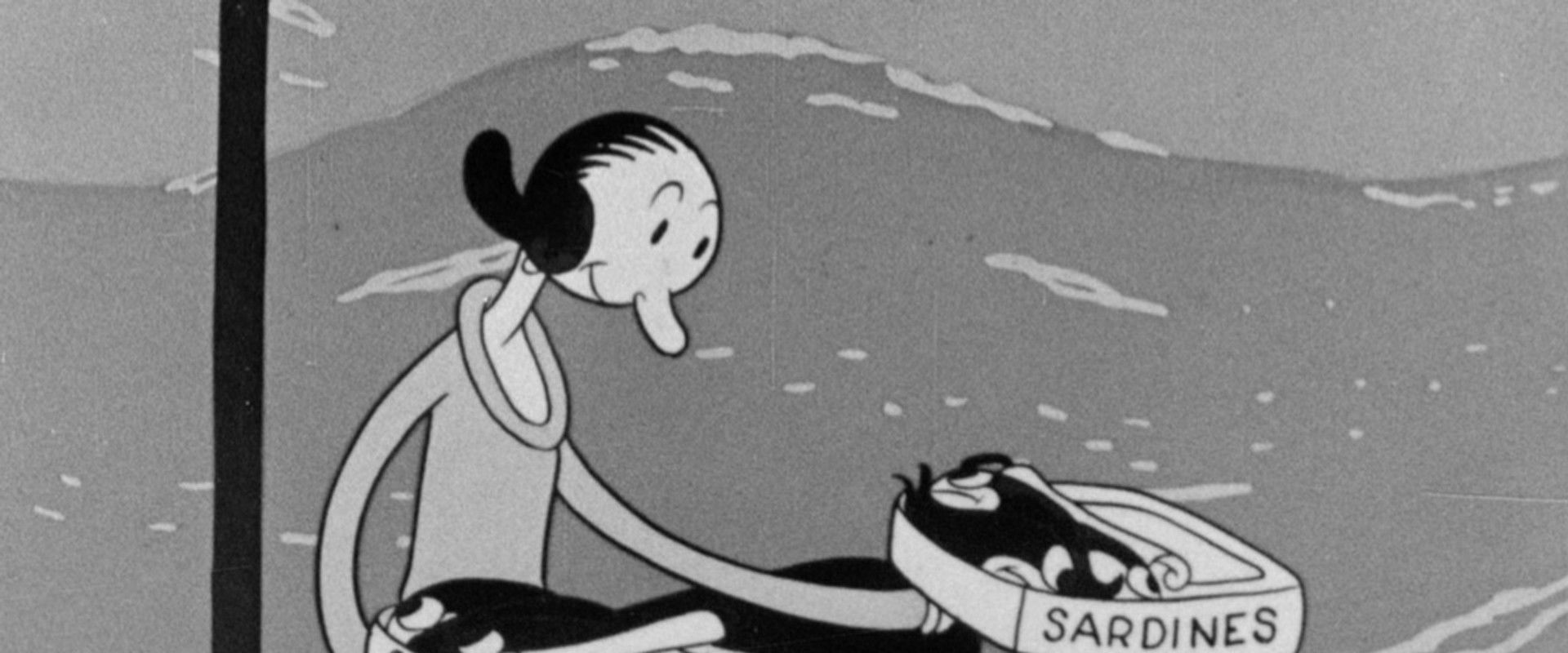 Wild Elephinks backdrop