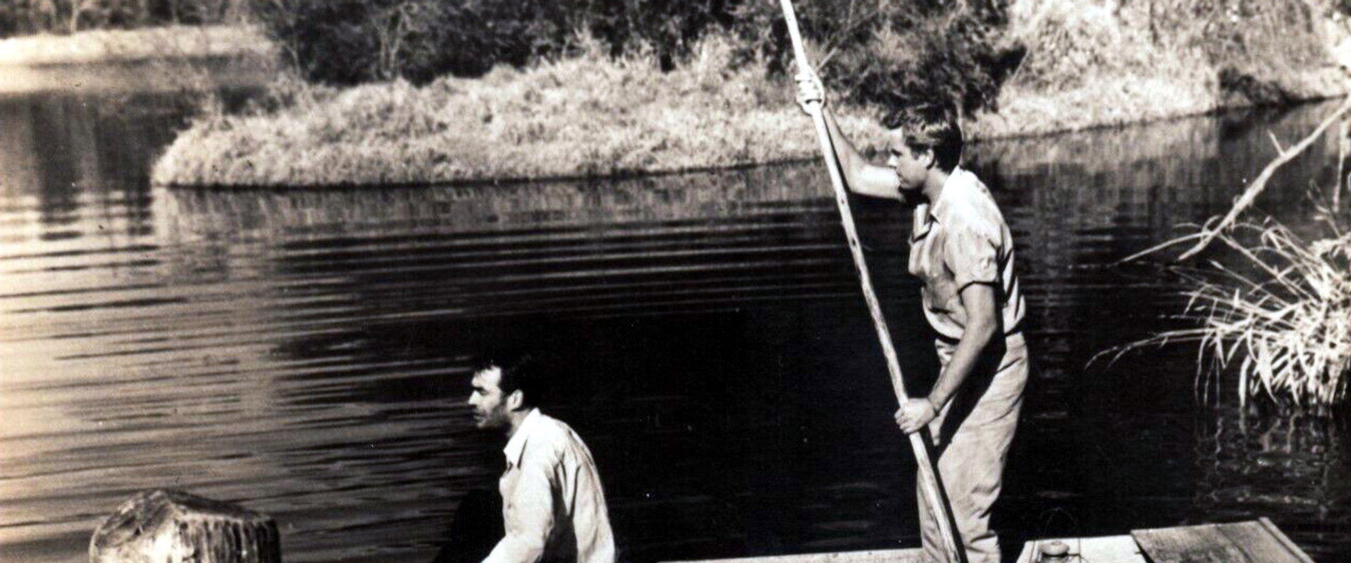 Lure of the Swamp backdrop