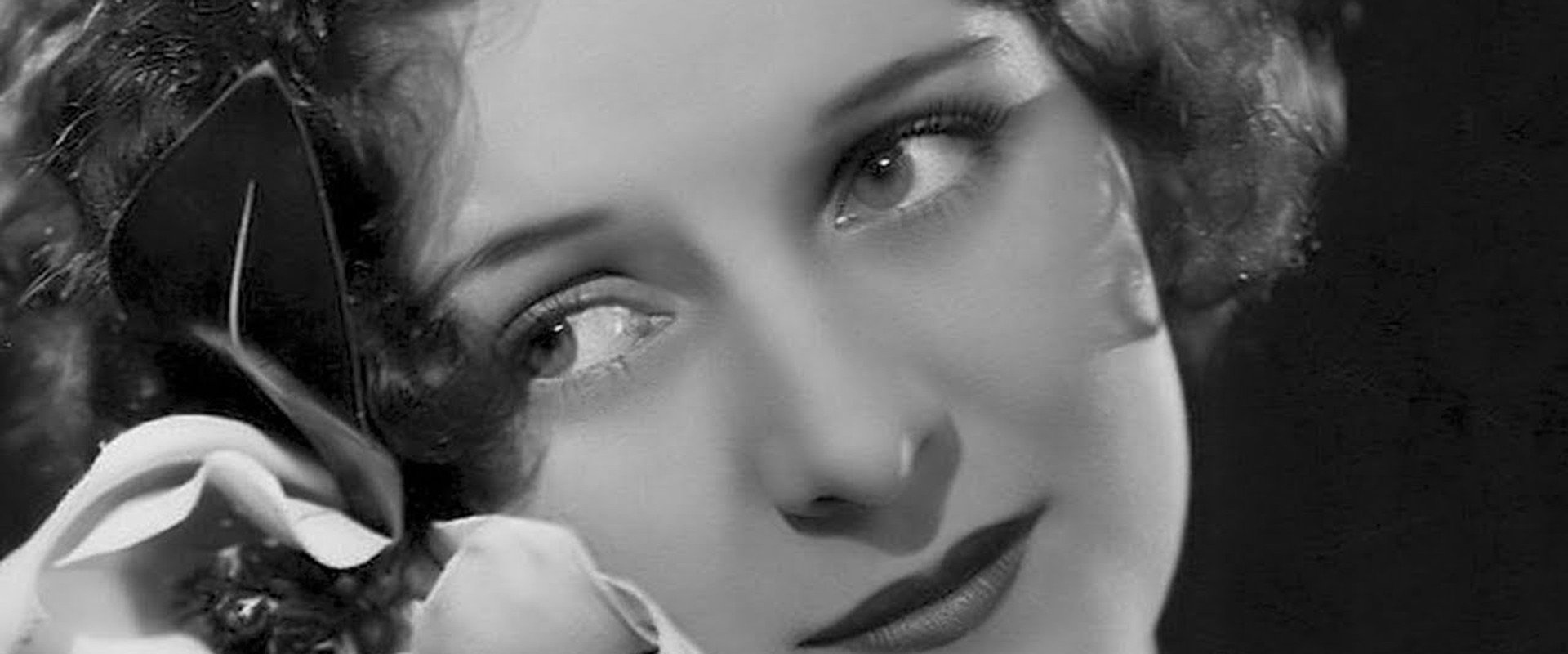 Paradise Island backdrop