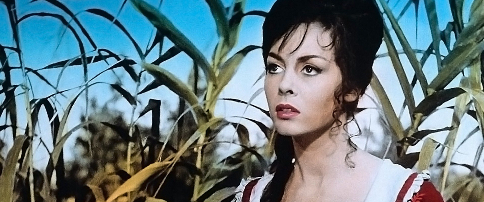 Women of Devil's Island backdrop
