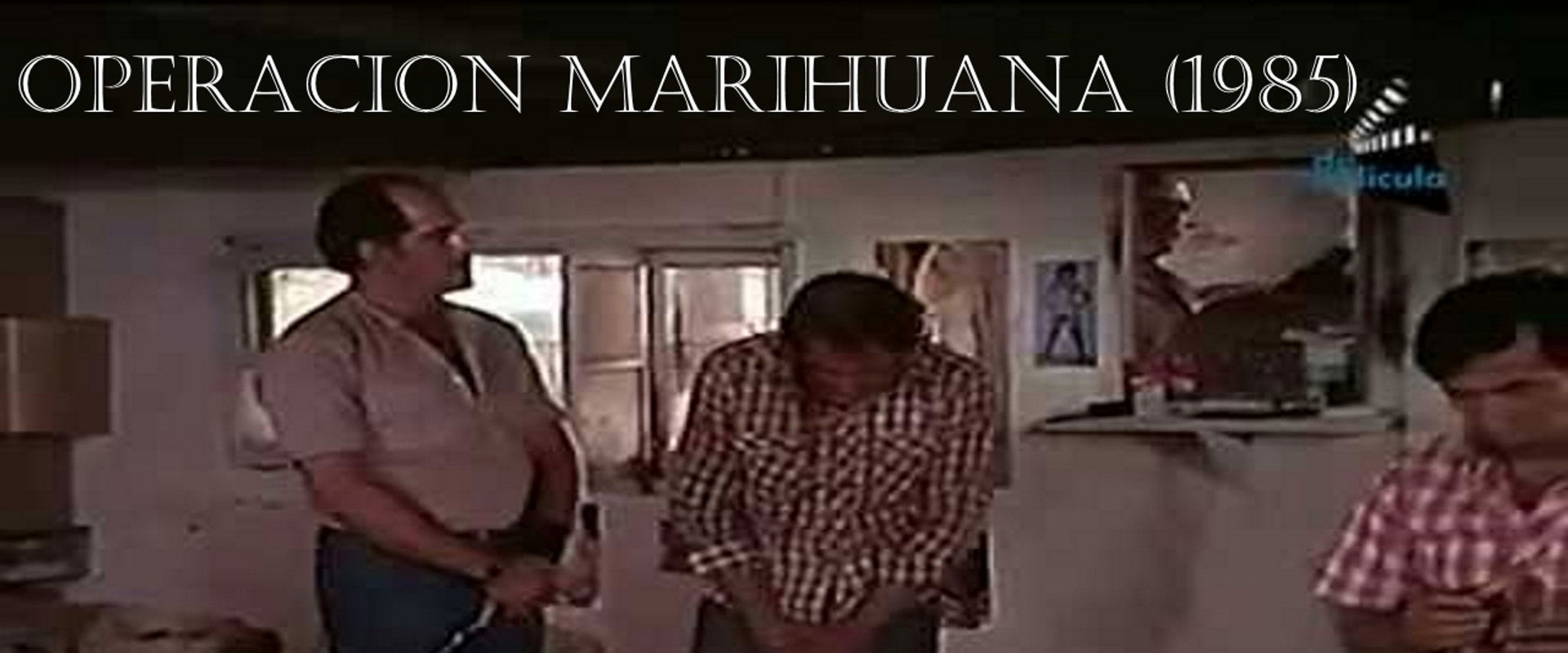 Operation Marihuana backdrop