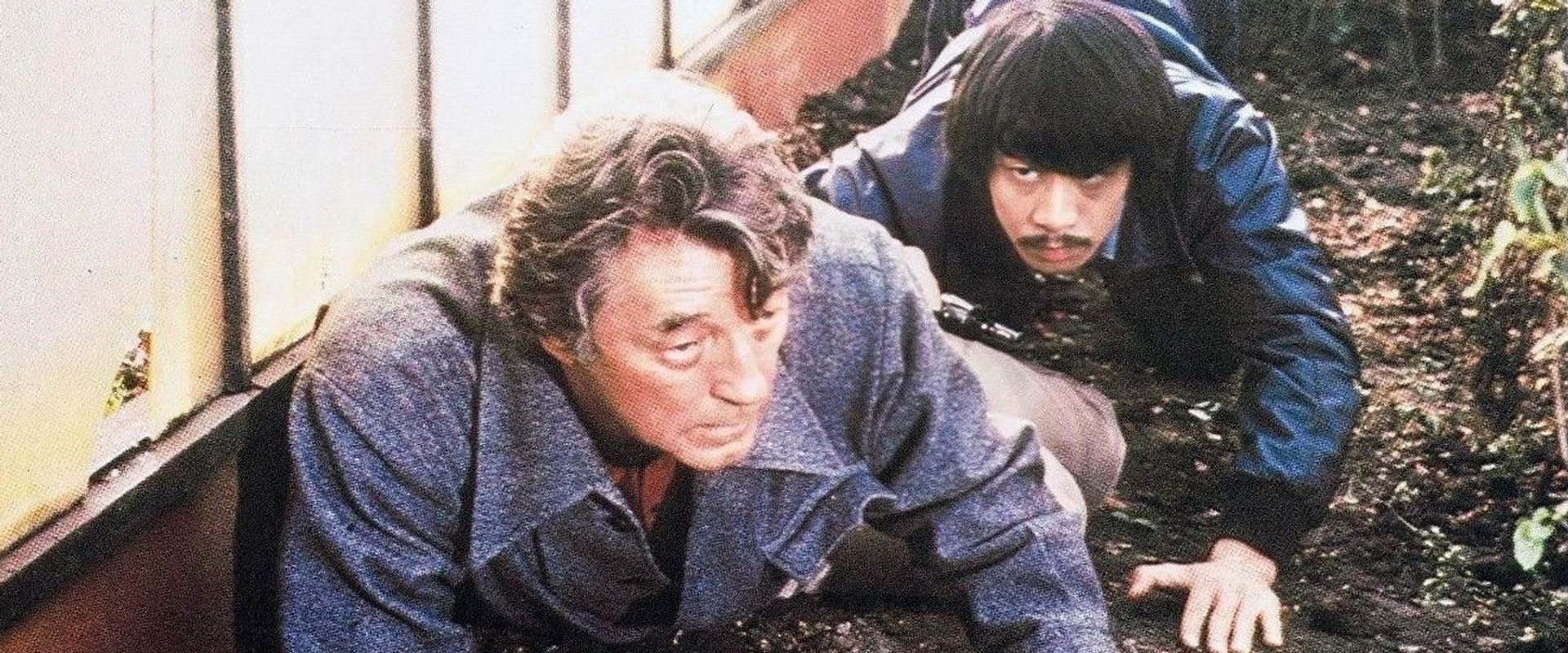 The Amsterdam Kill backdrop