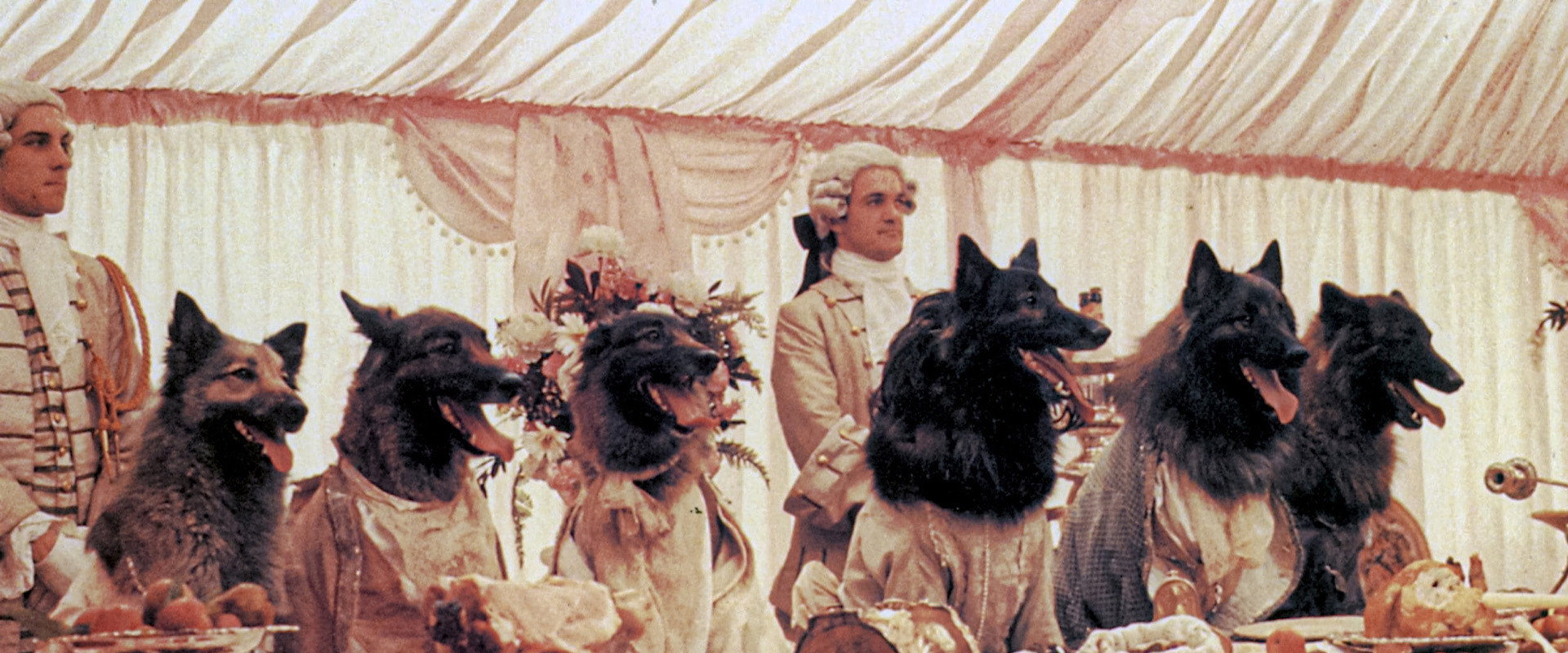 The Company of Wolves backdrop