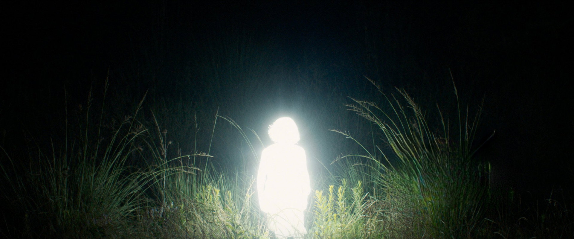 Chronicles of a Wandering Saint backdrop