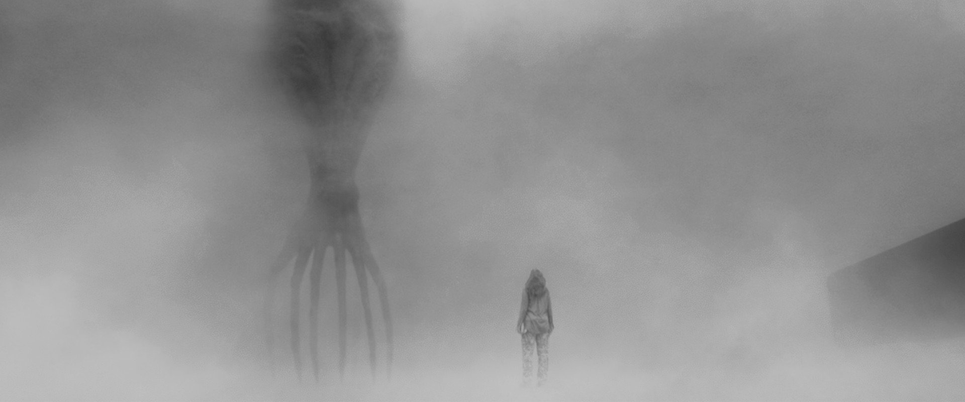 Arrival backdrop
