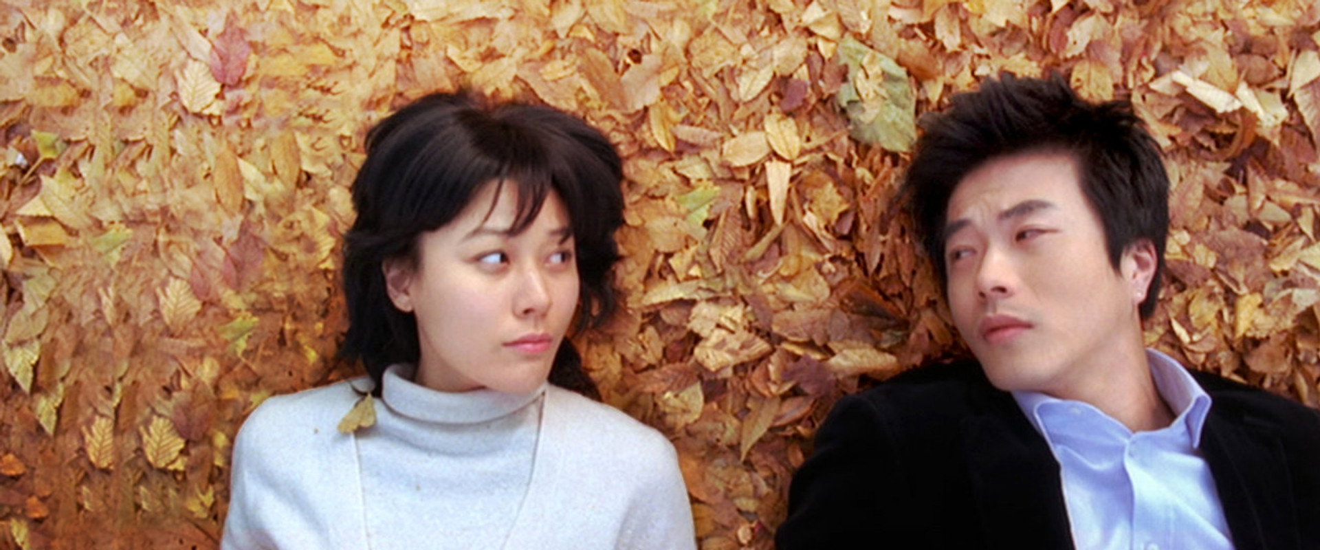 My Tutor Friend backdrop