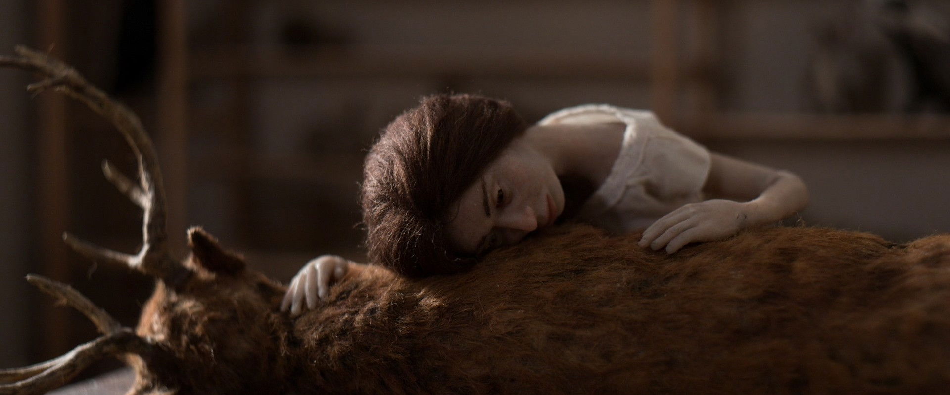 Imbued Life backdrop