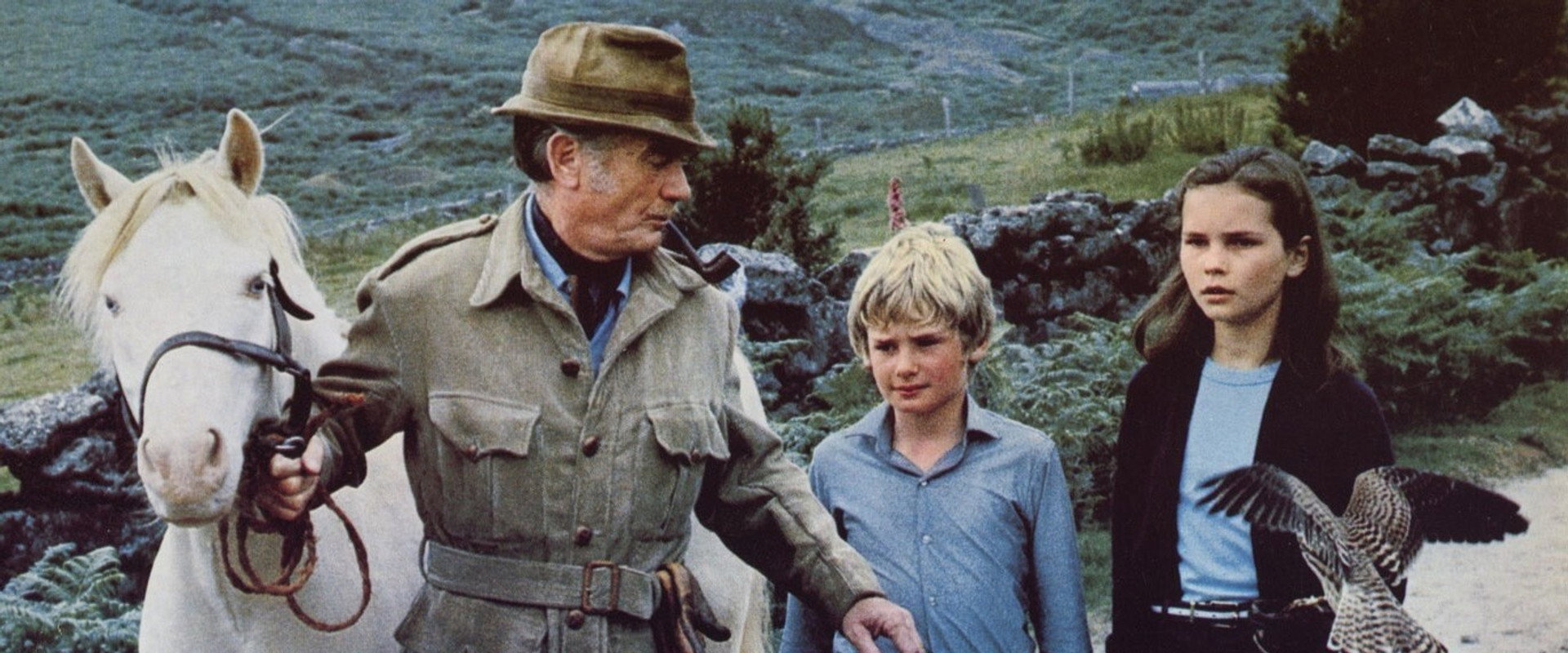 Run Wild, Run Free backdrop