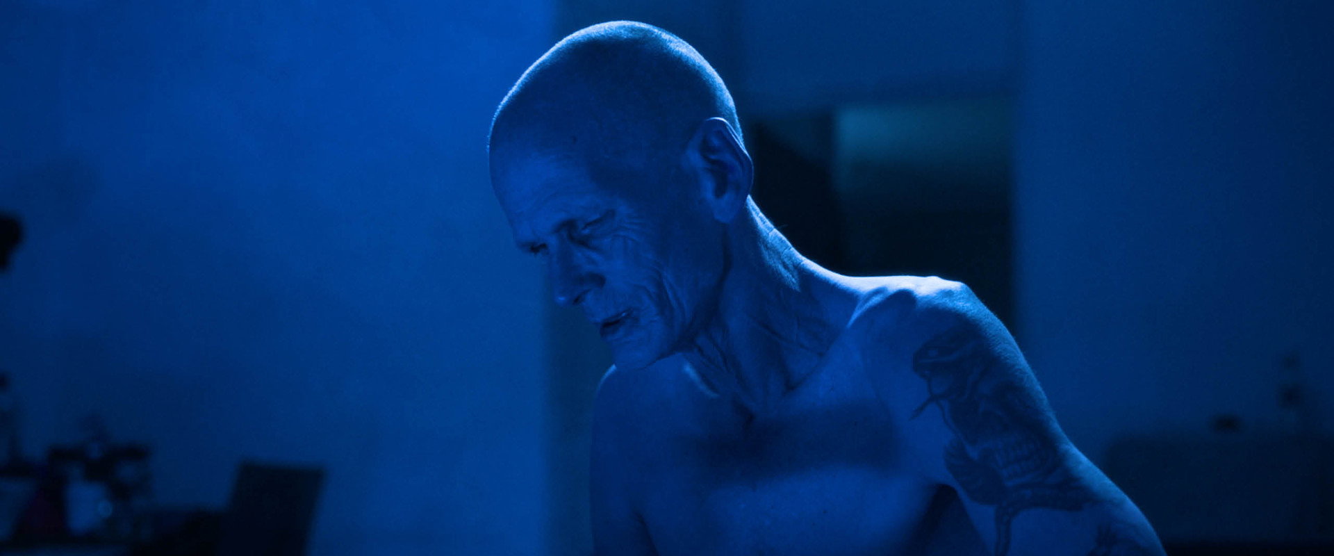 Paradise Morbid backdrop