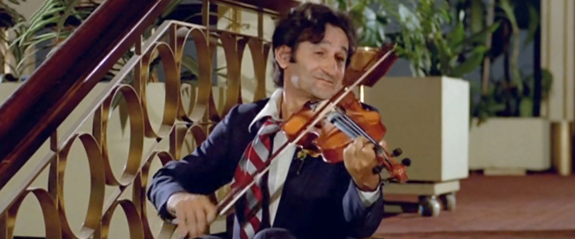 If the Violin Were a Bird backdrop