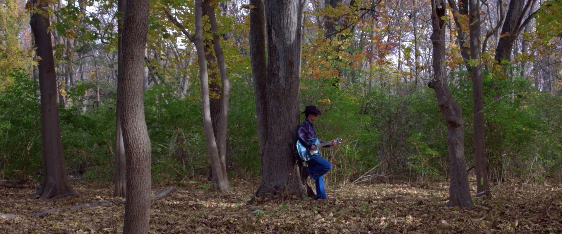 The Devil Went Down to Georgia backdrop