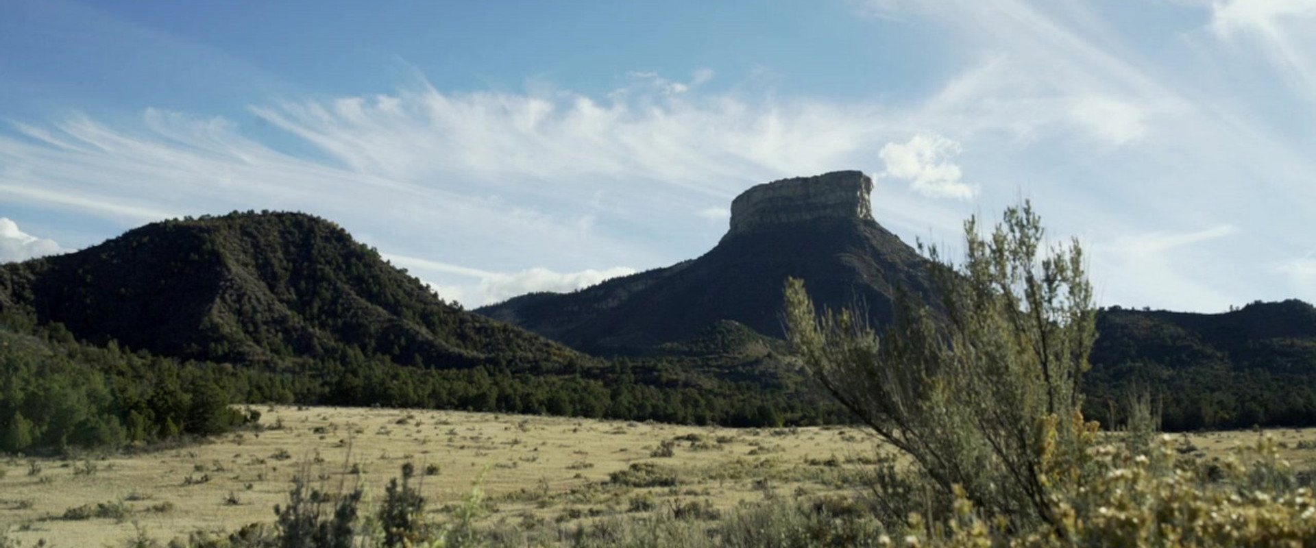 Once Upon a Time in Tombstone backdrop