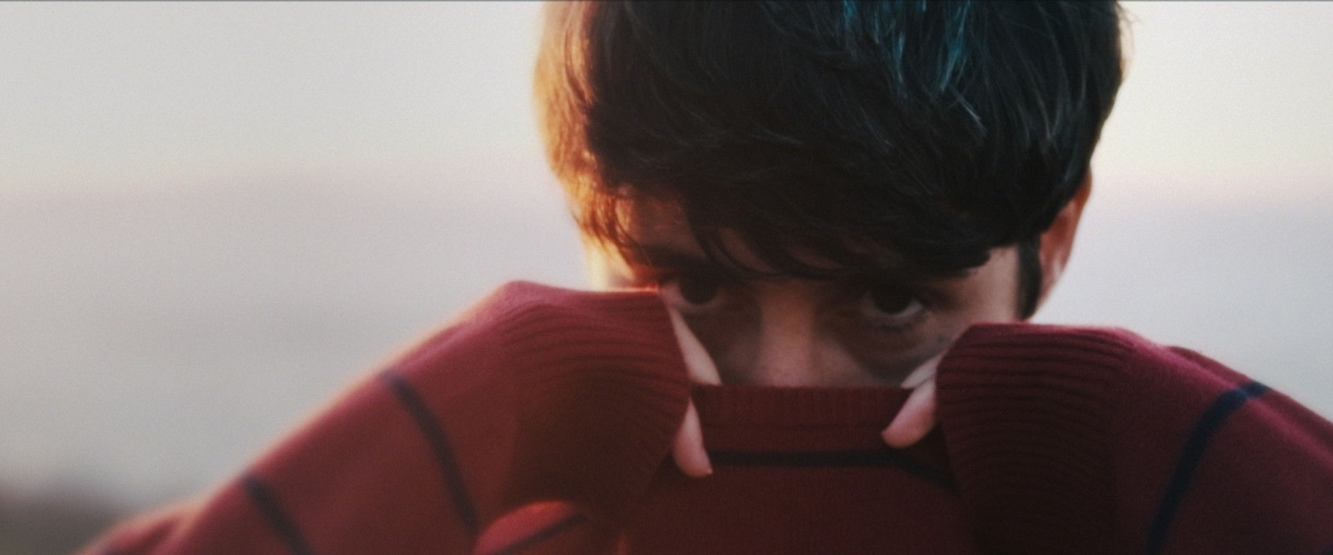 On Lavender backdrop