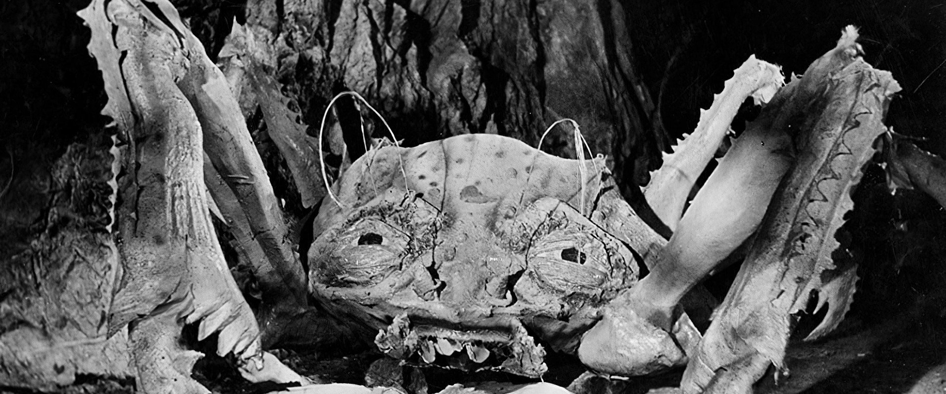 Attack of the Crab Monsters backdrop
