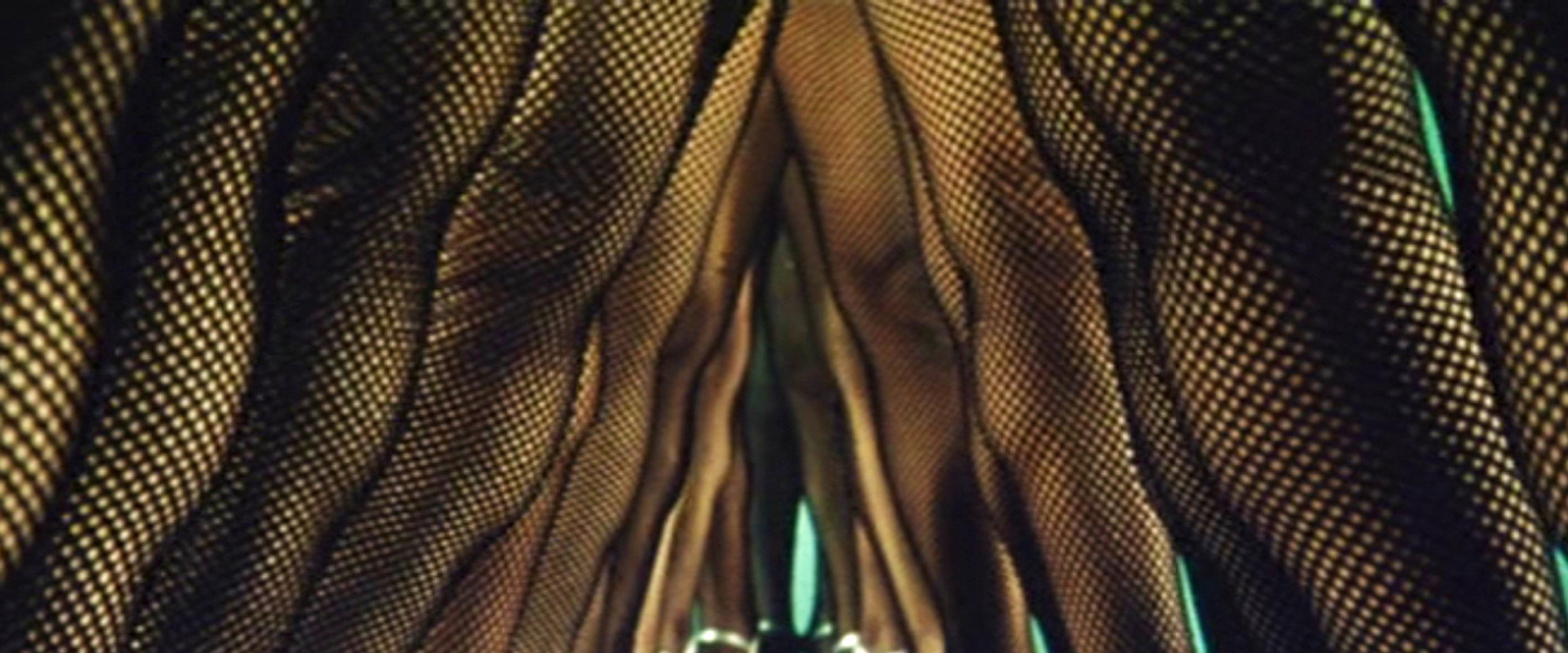 The Woman Who Touched Legs backdrop