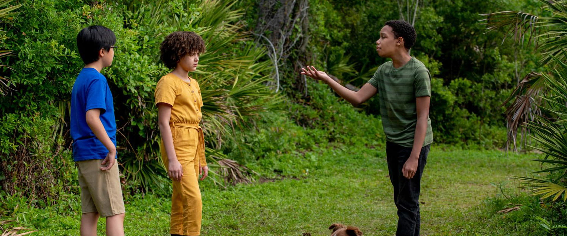 Pet Investigators backdrop