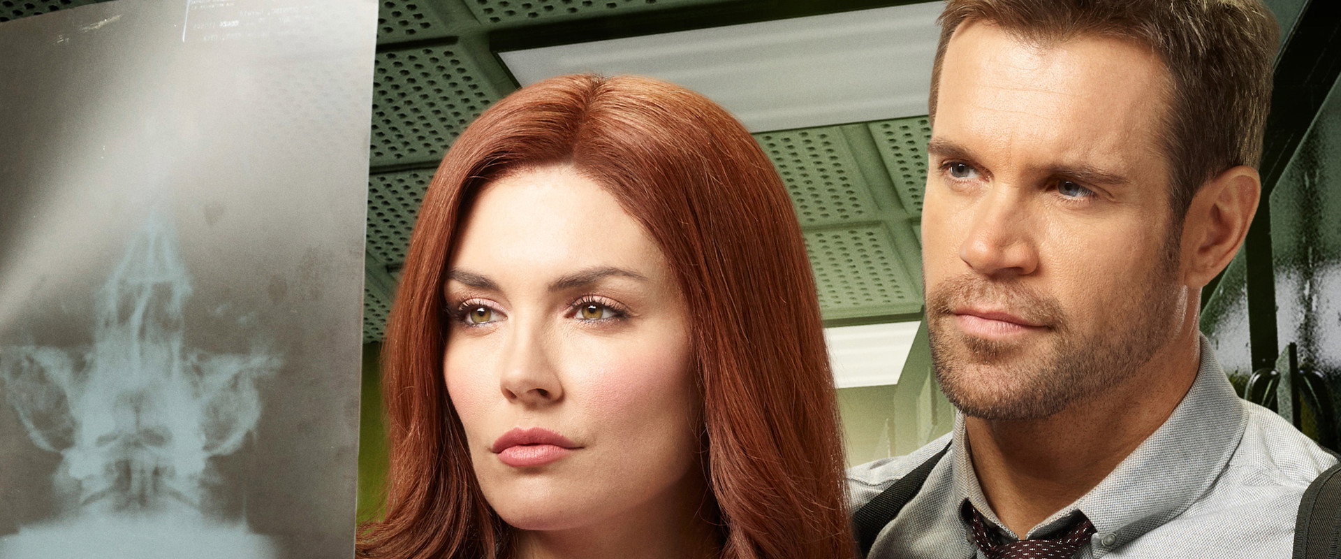 Ruby Herring Mysteries: Silent Witness backdrop